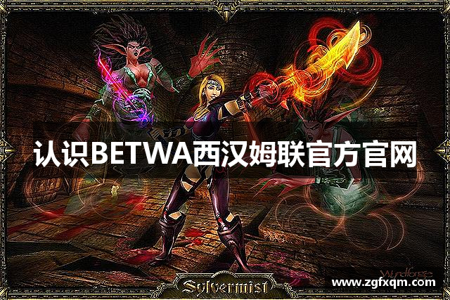 认识BETWA西汉姆联官方官网